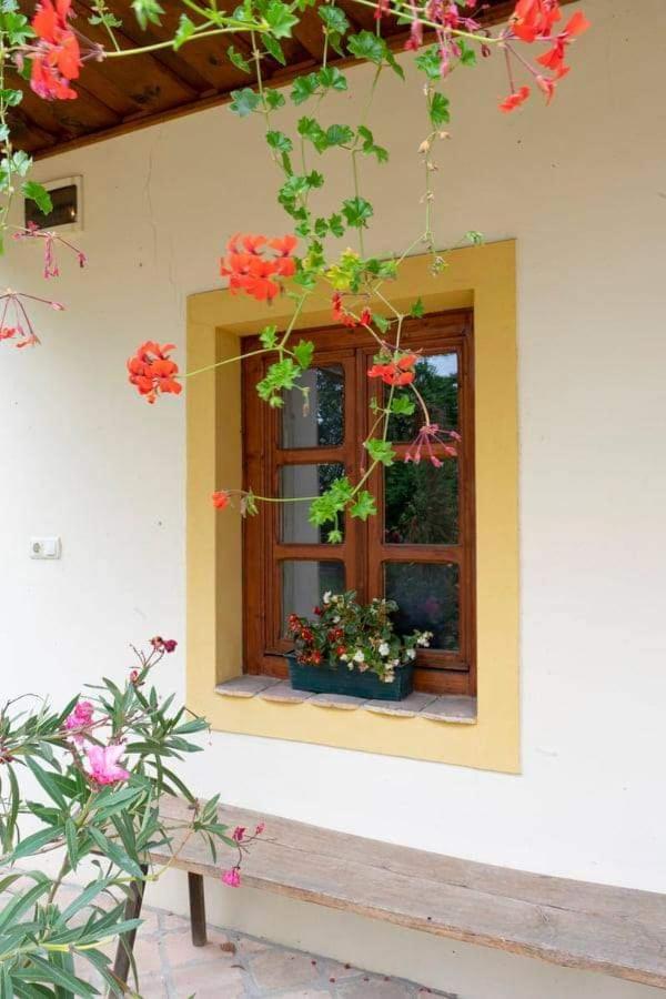 Koppany Lovasudvar Bakonykoppány Exterior foto