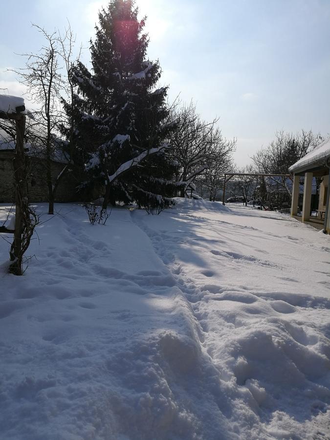 Koppany Lovasudvar Bakonykoppány Exterior foto